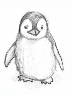 a pencil drawing of a penguin