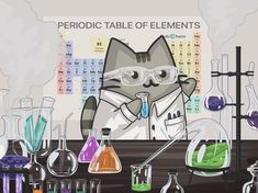 an image of a cat in the lab with flasks and beakles full of liquid