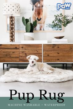 a white dog laying on top of a rug in front of a dresser with a horse painting above it