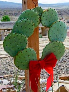 a cactus wreath with a red bow hanging from it's side on a wooden post