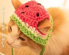 a cat wearing a knitted watermelon hat on top of it's head