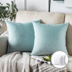 two blue pillows sitting on top of a white couch next to a potted plant