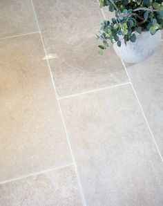 a potted plant sitting on the ground next to a tile floor in a bathroom