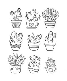 a bunch of potted plants are shown in black and white