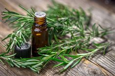 Rosemary is one of the most aromatic and pungent herbs around, here are 20 creative ways to use this wonderful versatile herb and not just in delicious tasting recipes. بذور الشيا, Natural Pesticides, Organic Pesticide, Homemade Shampoo, Anti Aging Oils, Rosemary Oil