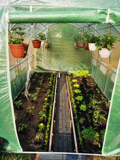 an indoor greenhouse with several plants growing in the ground and one on the other side