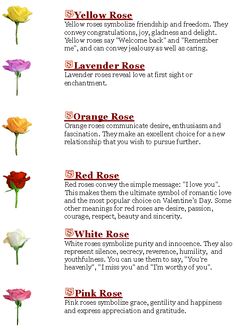 the different types of flowers that can be found in this article, including red roses and yellow