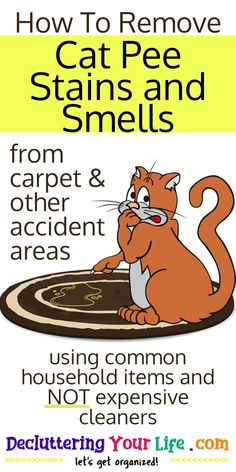 a poster with the words how to remove cat pee stains and smells