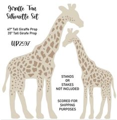 two giraffes standing next to each other on a white background with text