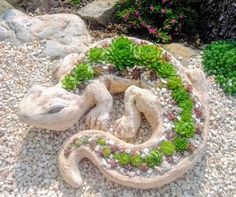 a statue of a snake with succulents on it