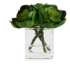 a glass vase filled with green flowers on top of a table