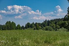 an open field with trees and clouds in the sky behind it, on a sunny day