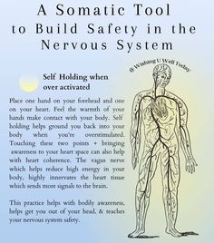 The Power Of Breath, Somatic Healing Quotes, Healing Nervous System, Dorsal Vagal Shutdown, Vagus Nerve Exercise, Vagus Nerve Healing