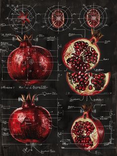 This captivating vector illustration presents an intricate front view of a pomegranate combined with detailed manuscript design drawings of multiple cars from various angles, all meticulously annotated with notes and measurements. Set against a solid black background, the crisp lines and precise detailing make this a striking piece for enthusiasts of technical design and illustration. #DesignDrawing #PomegranateArt #CarSchematics #VectorIllustration #TechnicalDrawing #BlackBackground #ManuscriptDesign #DetailedArt #EngineeringSketch #IllustrationArt Pomegranate Academia, Wallpaper Pomegranate, Rotten Pomegranate, Pomegranates Aesthetic, Pomegranate Art Illustrations, Pomegranate Art Design, Pomegranate Photography, Pomegranate Symbolism, Pomegranate Aesthetic Dark