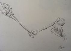 a pencil drawing of two hands holding each other's arm with bones attached to it