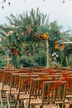 rows of wooden chairs are lined up in front of palm trees and hanging flowers on the ceiling