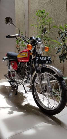 a red and black motorcycle parked next to a plant