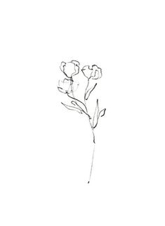 a black and white drawing of some flowers