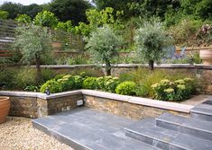 an outdoor garden with stone steps and plants