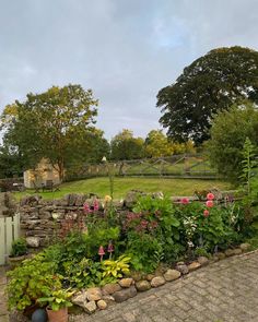 a garden filled with lots of plants and flowers next to a stone wall in the middle of a lush green field