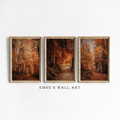 three framed photographs hanging on the wall