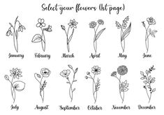 the flower list is shown in black and white, with flowers drawn on it's sides