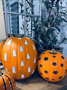 three pumpkins decorated with ghost faces and black cats on them, sitting next to a potted plant