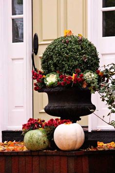 a potted planter with flowers and pumpkins in front of a door