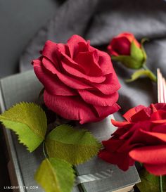 two red roses sitting on top of an open book