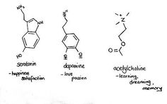 three different types of chemical structures are shown in black and white, with the names below them