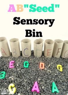 an image of some sort of alphabets and letters on top of sunflower seeds