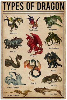 a poster with different types of dragon on it's back side and the words types of