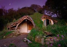 two hobbot houses in the woods with grass roofs