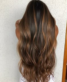 Long Brown Hair With Highlights Straight, Hazelnut Highlights On Brown Hair, Carmel Balayage Brunettes Dark Brown, Sunkissed Balayage Brunettes Sun Kissed Brown Hair, Caramel Balayage With Money Piece, Honey Bayalage Brunette, Honey Brown Hair, Brown Hair Inspo