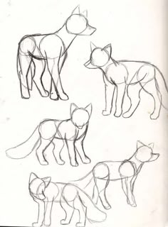 three different types of foxs are shown in this drawing lesson, which shows how to draw