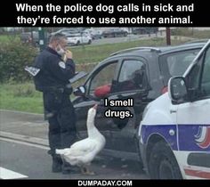 a police officer standing next to a white duck