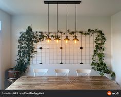 a wooden table with white chairs and plants on the wall behind it, along with hanging lights