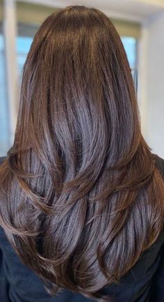 Indian Hair Cuts, Long Hair Highlights, Layered Haircuts For Medium Hair, Long Hair With Bangs, Hair Stylist Life