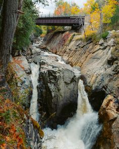 a bridge over a small waterfall in the woods