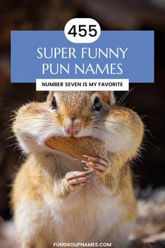 455 Pun Names That Will Crack You Up Pun Names, Sausage Party, Taco Cat, Jalen Hurts, Ocean Spray, Funny Names, Valley Girls