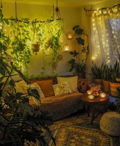 a living room filled with lots of plants and lights hanging from the ceiling above it