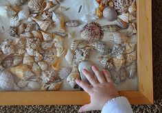 a child's hand reaching for shells in a shadow box