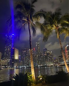 palm trees in front of a city skyline at night