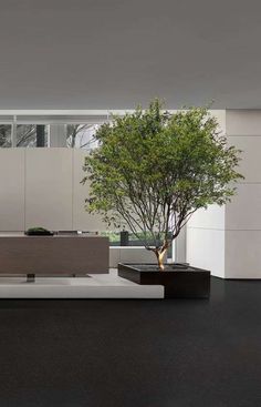 a modern living room with a tree in the center