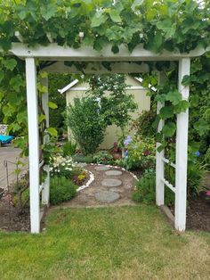 a garden with lots of green plants and flowers