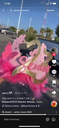 a pink and gold tiara on top of a car