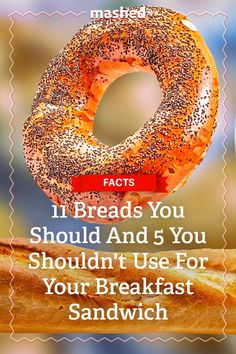 a bagel with the words 11 breads you should and 5 you shouldn't use for your breakfast sandwich