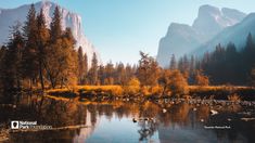 a river surrounded by trees with mountains in the background