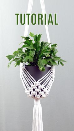 a white macrame plant hanger with green plants in it