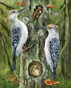 three woodpeckers are standing on a tree in the woods with other birds